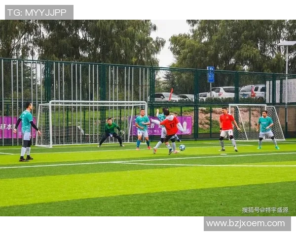 足球明星与小球迷的梦想之旅共同追逐绿茵场上的荣耀与激情